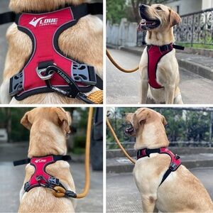 Puppy harness—new